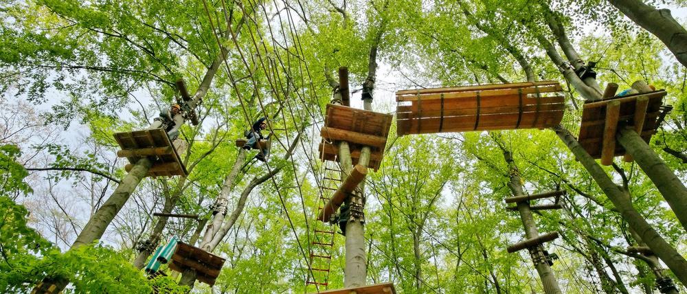 Hoch hinaus: Kletterwald auf dem Telegrafenberg hat wieder geöffnet (Archivfoto).