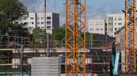 Bauland wird in Potsdam immer teurer. 