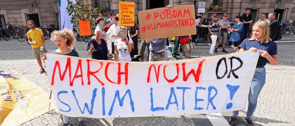 Immer wieder gibt es auch in Potsdam Proteste für mehr Klimaschutz (Symbolbild)
