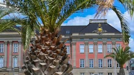 Auch in den kommenden Tagen soll es schönes Wetter geben.