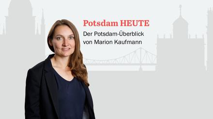 Der PNN-Newsletter - heute von Marion Kaufmann.