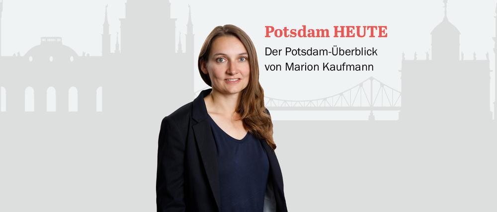 Der PNN-Newsletter - heute von Marion Kaufmann.