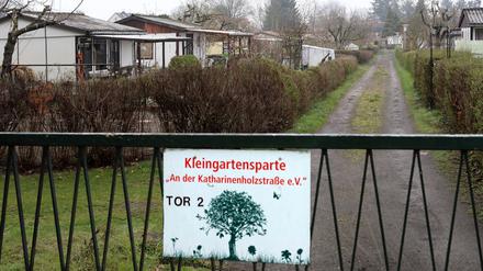 Die Zukunft der Kleingartenanlage an der Katharinenholzstraße ist ungewiss.