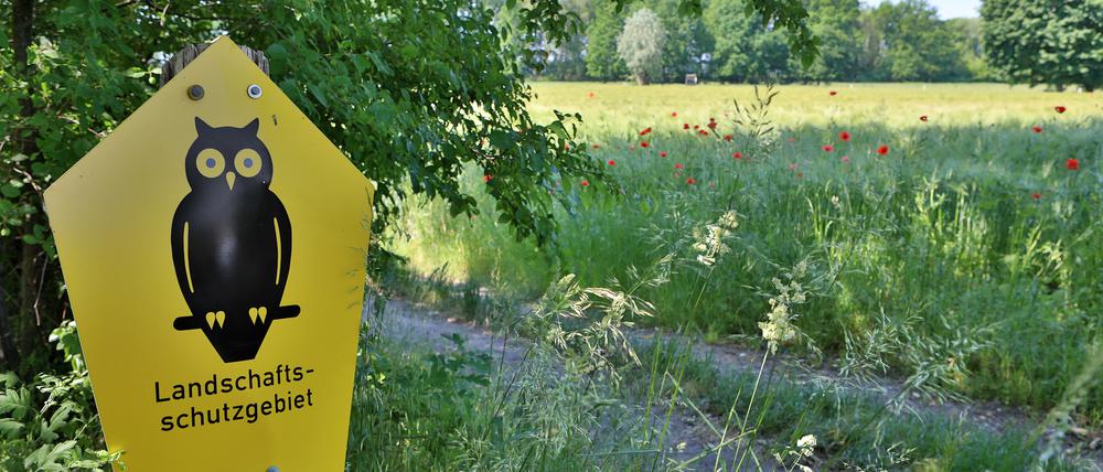 Ein breiter Radschnellweg soll durch das Landschaftsschutzgebiet zwischen Fahrland und Neufahrland Richtung Krampnitz gebaut werden.