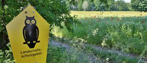 Ein breiter Radschnellweg sollte durch das Landschaftsschutzgebiet zwischen Fahrland und Neufahrland Richtung Krampnitz gebaut werden. Nun scheint das vom Tisch. 