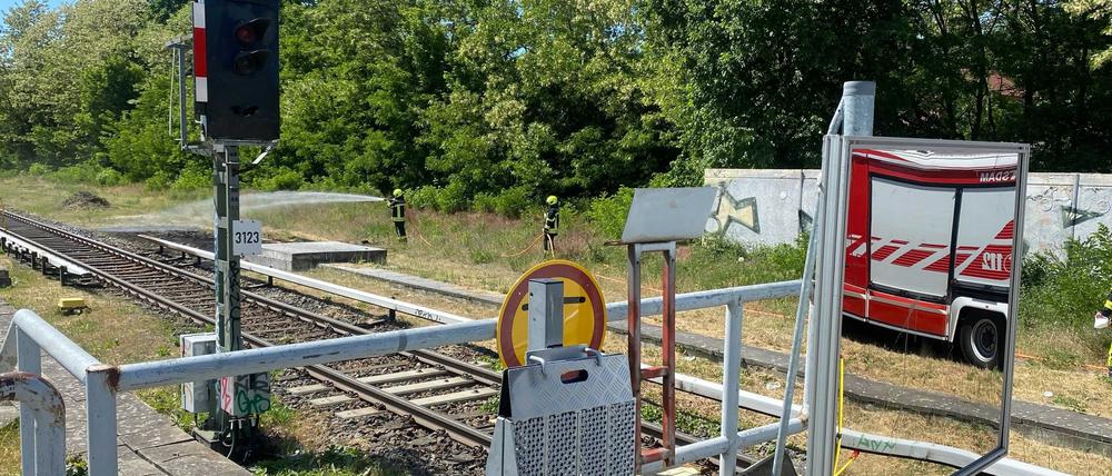 Die Feuerwehr löscht den Böschungsbrand am Bahnhof Griebnitzsee.