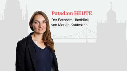 Der PNN-Newsletter - heute von Marion Kaufmann.