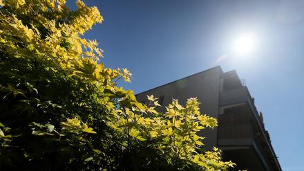 Am Montag soll auch in Potsdam wieder herrliches Sommerwetter herrschen.