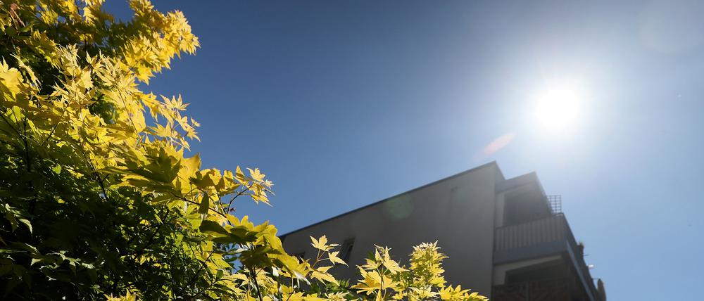Am Montag soll auch in Potsdam wieder herrliches Sommerwetter herrschen.