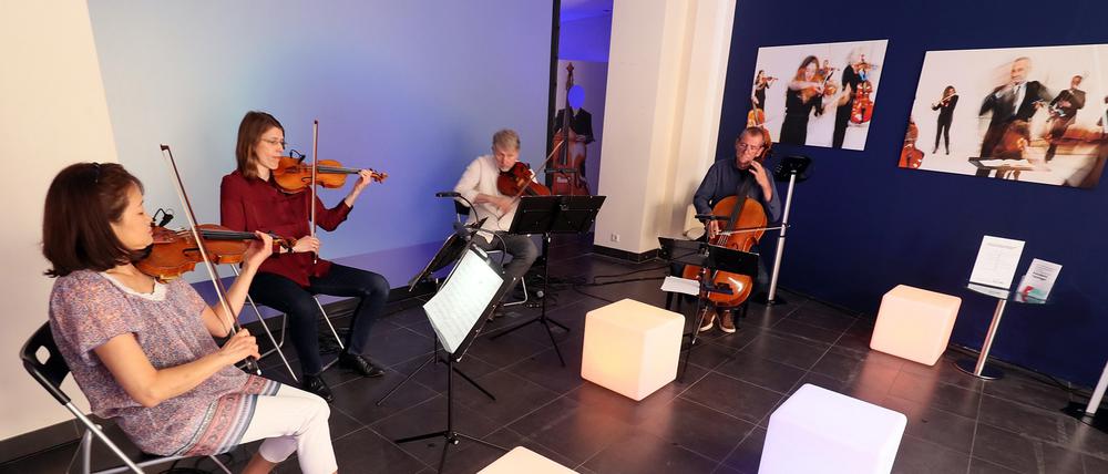 Die Kammerakademie Potsdam spielt bis Ende August jetzt täglich live im KAPladen in der Brandenburger Straße 19.