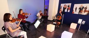 Die Kammerakademie Potsdam spielt bis Ende August jetzt täglich live im KAPladen in der Brandenburger Straße 19.