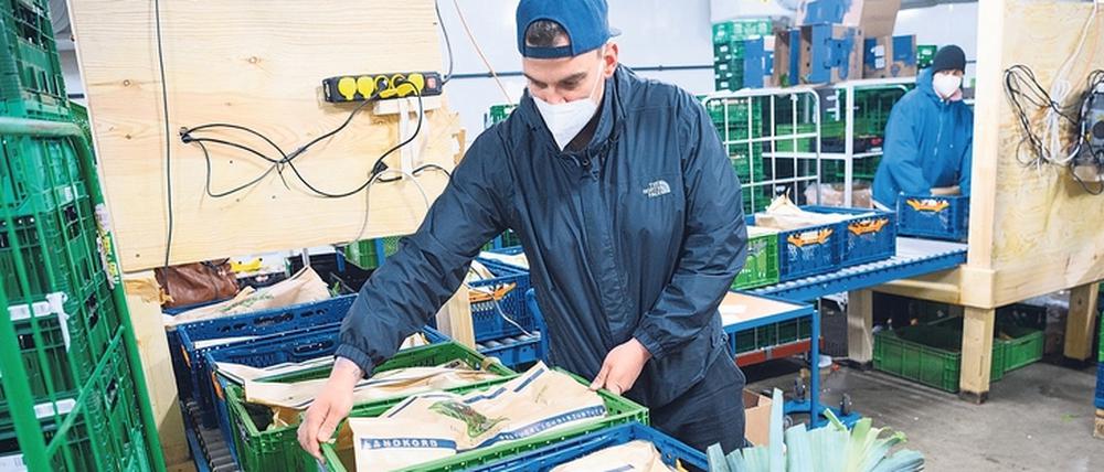 Bio aus der Kiste. Dominik Böse verpackt Kisten des Bio-Lieferservice „Landkorb“ für den Versand. 