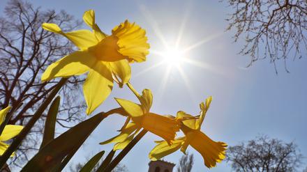 Auch bei den Durchschnittstemperaturen reichte es für Brandenburg nur für einen Platz im unteren Mittelfeld.