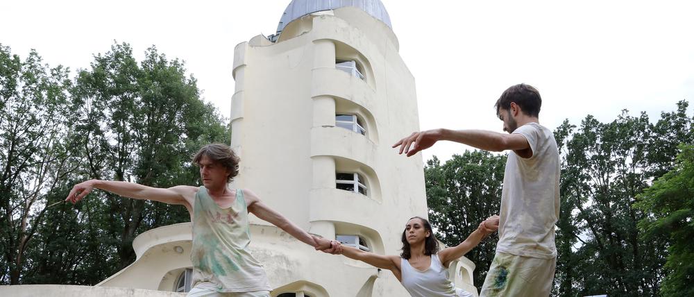 "Das Netz - Die Wildform ist ein Kosmopolit" ist eine multimediale Performance zwischen Kunst und Wissenschaft auf dem Telegrafenberg.