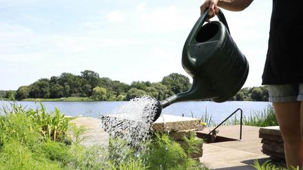 Am Sacrower See wird mit Regenwasser gegossen. Die Entnahme von Wasser aus dem See ist wegen Trockenheit in Potsdam untersagt.