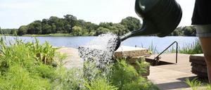 Am Sacrower See wird mit Regenwasser gegossen. Die Entnahme von Wasser aus dem See ist wegen Trockenheit in Potsdam untersagt.