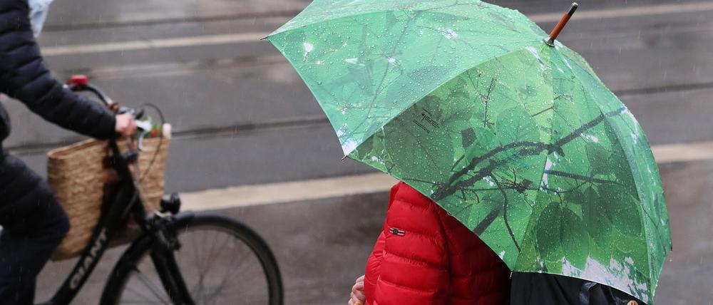 Leider ist der Regenschirm in Potsdam derzeit leider häufig angebracht (Archivbild).