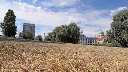 Trockenheit in Potsdam.