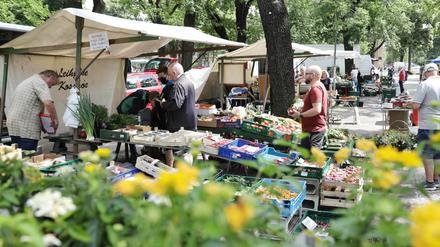 Der Wochenmarkt auf dem Babelsberger Weberplatz.