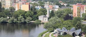 Dezernent Dieter Jetschmanegg führt Potsdam-Gäste auch zur Neustädter Havelbucht mit Seerose (r.) und dem Pumpwerk in der Moschee.