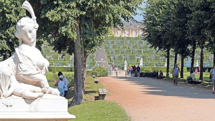 Romantik pur. Für Brigitte Meier ist das der Blick vom Park aus auf das Schloss Sanssouci mit dem grünen Hang.