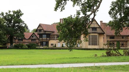Bei Spaziergängen im Neuen Garten entdeckte Katja Dietrich-Kröck Waschbären auf dem Dach von Schloss Cecilienhof.