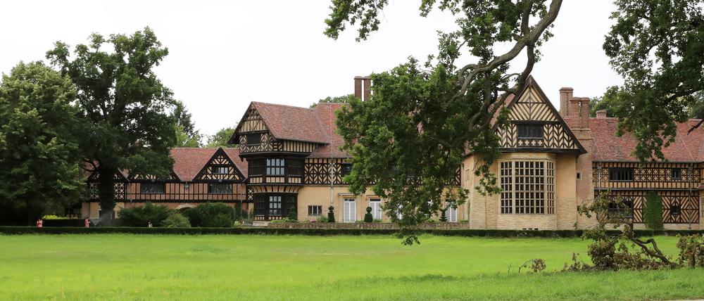 Bei Spaziergängen im Neuen Garten entdeckte Katja Dietrich-Kröck Waschbären auf dem Dach von Schloss Cecilienhof.