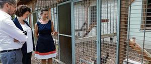 Oberbürgermeister Mike Schubert und Ordnungsbeigeordnete Brigitte Meier (beide SPD) beim Besuch des  Tierheims mit dessen Leiterin Antje Schwarze (v.l.).