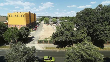 Freie Sicht. Das soll nach Ansicht von Anwohnern in Babelsberg auch so bleiben. Sie lehnen den Turmbau ab. 