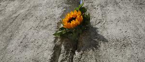 Am Freitag wird der 60. Jahrestag des Mauerbaus begangen.