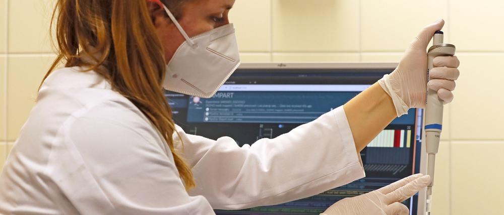 Seit März 2021 kann das Bergmann-Klinikum selbst Sequenzierungen des Corona-Virus vornehmen.