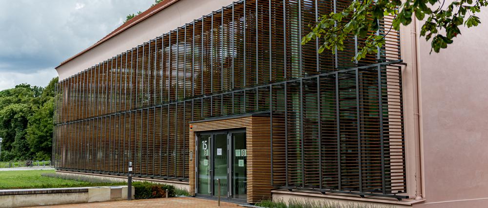 Das Europäische Zentrum für jüdische Gelehrsamkeit an der Universität Potsdam ist eröffnet.