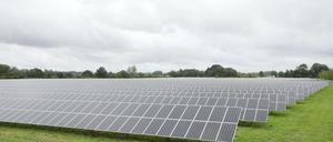 Das schon bestehende Solarfeld am Friedrichspark.
