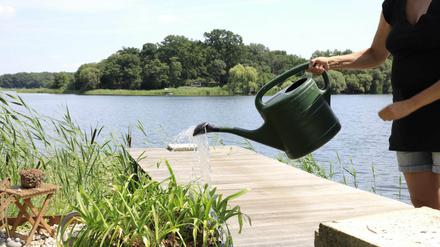 Bald ist wieder das Gießen mit Wasser aus Seen oder Flüssen gestattet.
