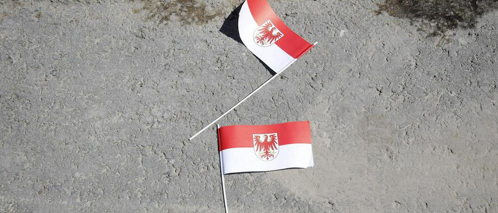 Brandenburgs Landesfahne. Die politische Stimmung im Land ist in Bewegung.