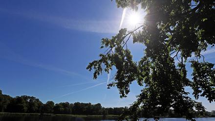 In den kommenden Tagen steigen die Temperaturen in Potsdam auf deutlich über 20 Grad.