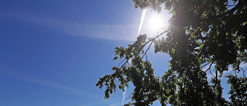 In den kommenden Tagen steigen die Temperaturen in Potsdam auf deutlich über 20 Grad.