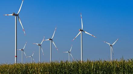 Windenergieanlagen stehen hinter einem Maisfeld in Sieversdorf (Oder-Spree).