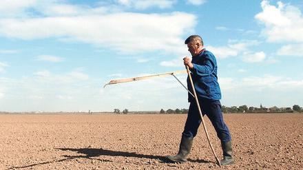 Mit einem Feldmesszirkel misst ein Bauer seinen Acker. Viele Neubauern-Erben haben in Brandenburg ihr Land noch nicht zurück.