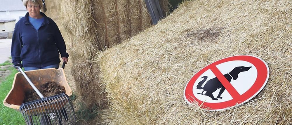 Kot macht Heu unbrauchbar und potenziell sogar gefährlich – ohne dass das gleich auffällt.