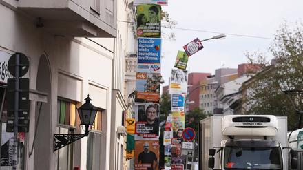 Große Auswahl: Wahlplakate bis oben hin in Potsdam.