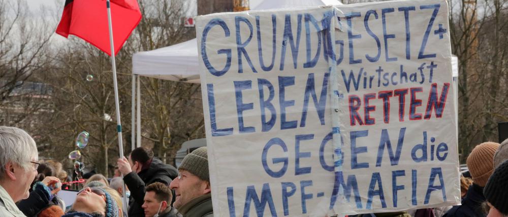 Impfgegner und Corona-Leugner während einer Demonstration in Potsdam (Archivbild)