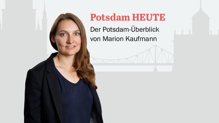 Der PNN-Newsletter - heute von Marion Kaufmann.