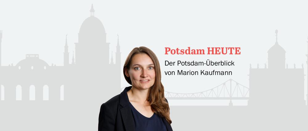 Der PNN-Newsletter - heute von Marion Kaufmann.