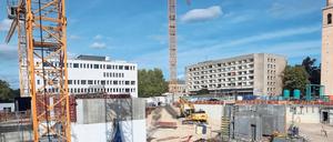 Wachstum. Auch in der Potsdamer Mitte bauen Genossenschaften.