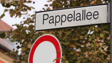 Die Potsdamer Pappelallee wird gesperrt.