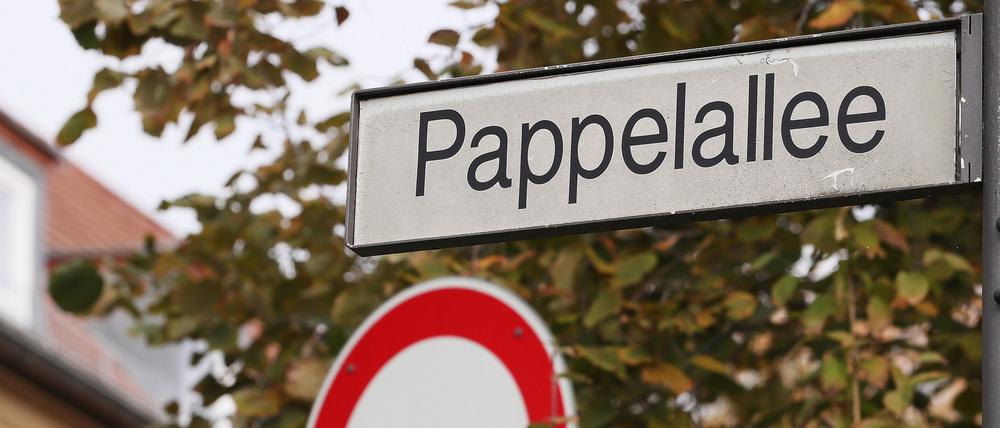 Die Potsdamer Pappelallee wird gesperrt.