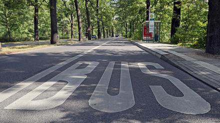 Ab April sollen mehr Busse in Potsdams Norden fahren. 