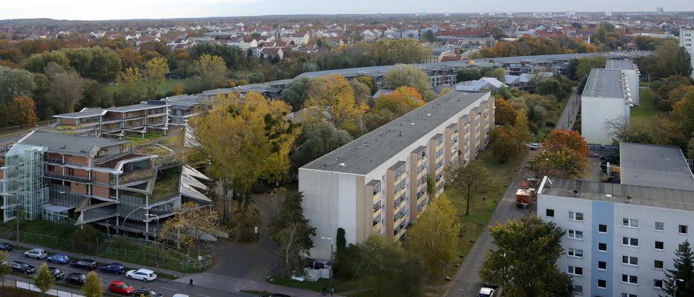 Blick auf die leerstehende Nutheschlange.