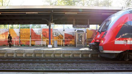 Neugestaltete Lärmschutzwand am Bahnhof Charlottenhof in Potsdam.